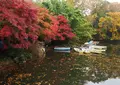 震生湖の写真_46582