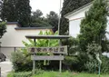 農家のそば屋 一助の写真_50473