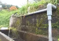 大渡水汲み場　道志村の写真_52789