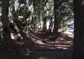 二百地蔵の写真_55413