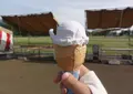 美郷町ラベンダー園の写真_60050