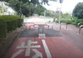 保谷狭山自然公園自転車道の写真_62445
