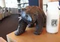 椿サロン　トマムの写真_65932