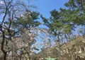 松下村塾の写真_70418