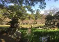 萩城跡指月公園の写真_70435