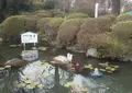 海地獄の写真_70897
