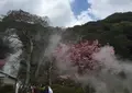海地獄の写真_70898