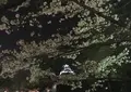 熊本城の写真_71106
