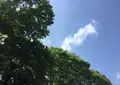 国立科学博物館附属自然教育園の写真_76801