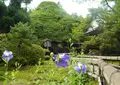 宝泉院の写真_85447