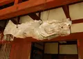 興福寺の写真_91312