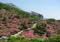 雲仙お山の情報館の写真_92739