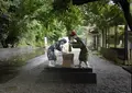 桃太郎神社の写真_96007