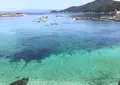 柏島の写真_1092665