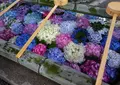 御裳神社の写真_1130280