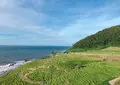 白米千枚田の写真_1173008