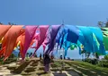 びわこ函館山663㎡の写真_1239890