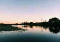 多摩川の写真_125608