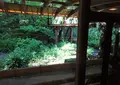 みなもカフェの写真_1258494