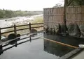 川霧の湯の写真_126116