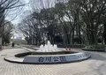 白川公園の写真_1307143