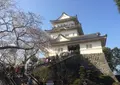 小田原城の写真_132230