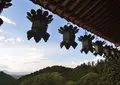 南法華寺 壺阪寺の写真_132685