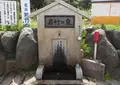 若竹の泉の写真_133670