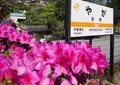 谷峨駅の写真_134672