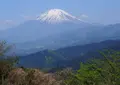 大野山の写真_134706