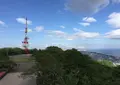 湘南平（高麗山公園）の写真_134836