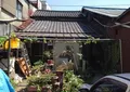 わらしべの写真_135229