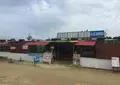 海の家BlueGardenの写真_136903