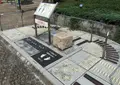 築地川銀座公園の写真_138489