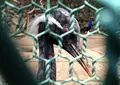 高崎公園の写真_143336