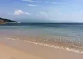 工房とったんの写真_143592