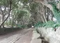 酒列磯前神社の写真_148765
