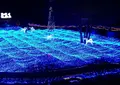 京都イルミエールの写真_157505