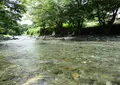 道志川の写真_157785