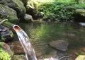 磐梯西山麓湧水群（代表　龍ケ沢湧水）の写真_163317