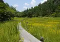 川口米の写真_173990