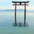 白鬚神社の写真_176227