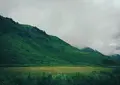 塚原高原の写真_198665