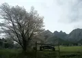 鍋の平キャンプ村の写真_203170