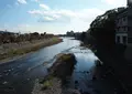 鴨川の写真_203938