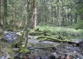 上高地の写真_205355