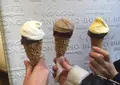 Cioccogelateria Venchiの写真_212404