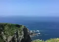 龍飛崎の写真_249185