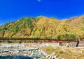 駒ヶ根ファームスの写真_278361