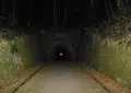 国登録文化財「明治宇津ノ谷隧道」の写真_301139